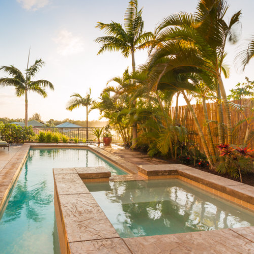 Pool and Hot Tub Surrounded by Palm Trees